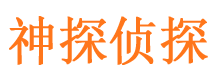 方城侦探公司